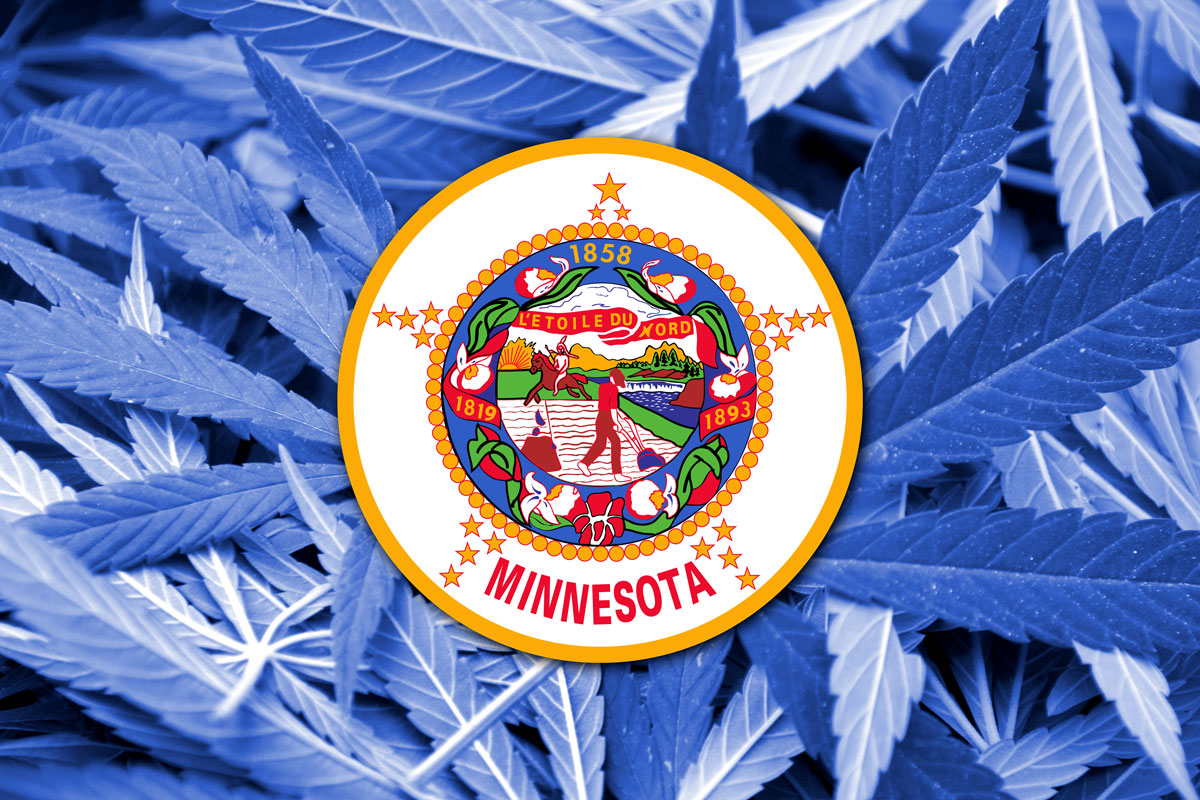 Cali Cannabis offers a great selection of cannabis products in Minneapolis, with knowledgeable budtenders here to help you find the products you want to meet your needs.