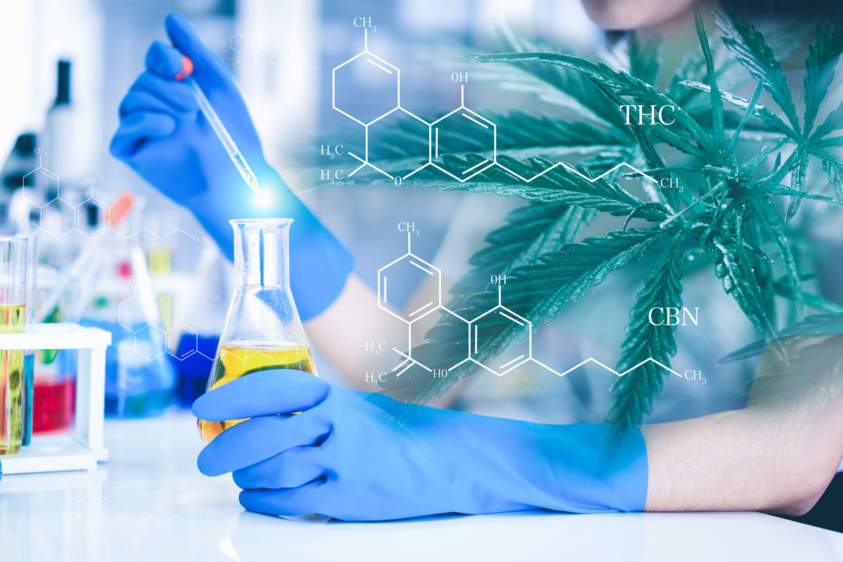 Explore THC, CBD, CBN & CBG benefits at Minnesota dispensaries. Learn how cannabinoids work and find your fit.